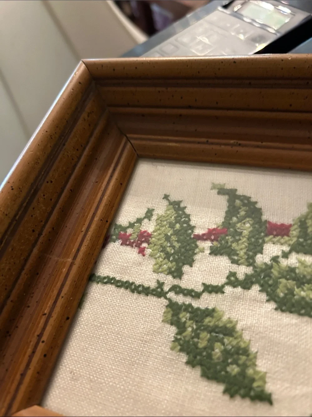 Framed Professionally in a deep wide frame Wine and Green Floral-Stitch Roses EC